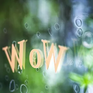 https://wow.brusselshotelsbook.com